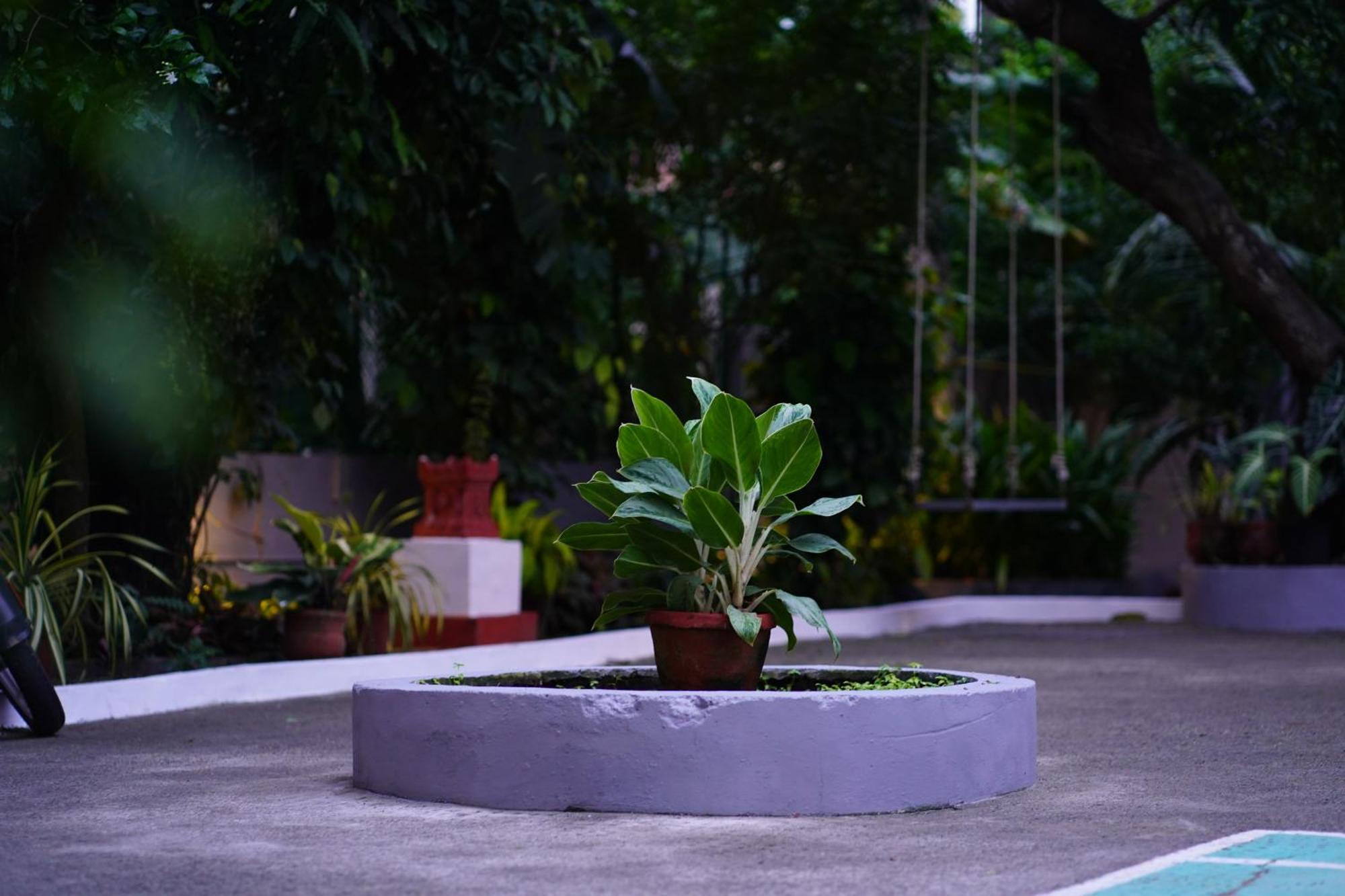 Remasailam Homestay - Thiruvananthapuram , Calm & Blend With Nature Экстерьер фото